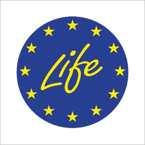 life ip v2